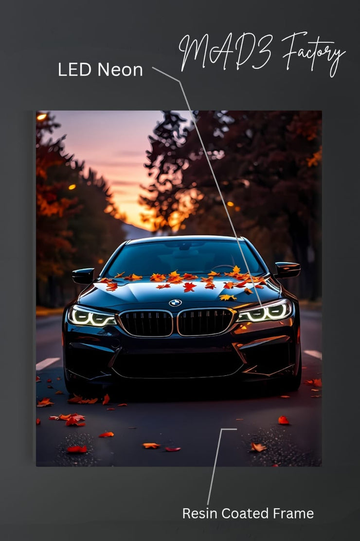 BMW M4 Front DRLs White Light | Resin Neon Frame | 4k Premium